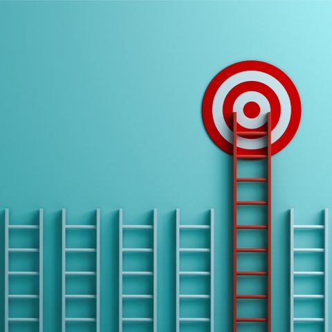 Études de cas - Performance commerciale - Quand le R.O.I. est ROI