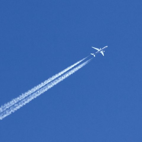 b2f - Comment faire décoller un concept innovant - Etude de cas