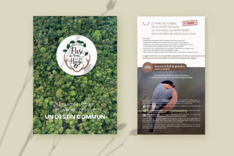 Syndicat Mixte du parc de la forêt de Haye